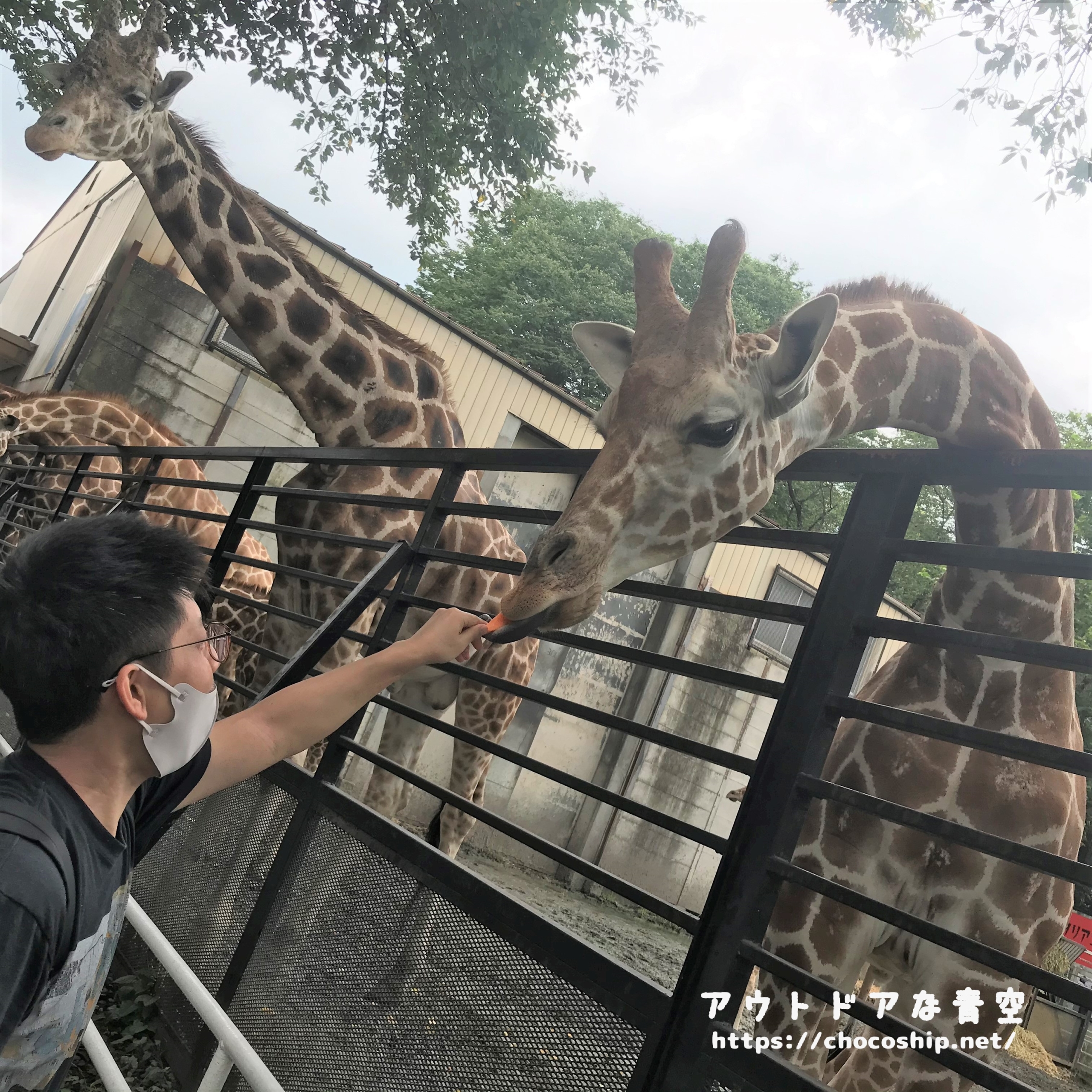 宇都宮動物園の駐車場混雑対策からオススメスポットまで一括チェック アウトドアな青空